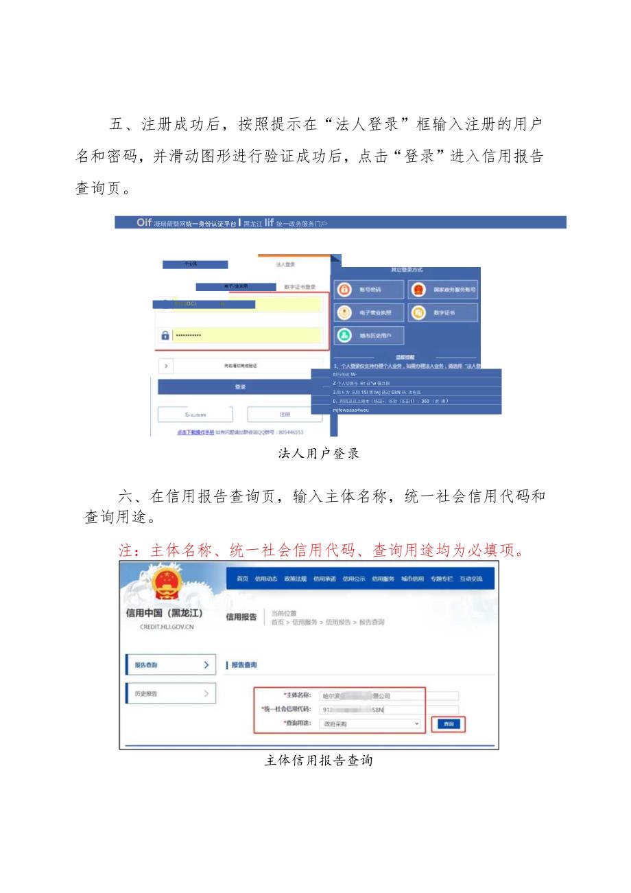 黑龙江省市场主体公共信用信息报告查询指南.docx_第3页