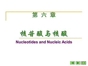 第06章核苷酸与核酸.ppt