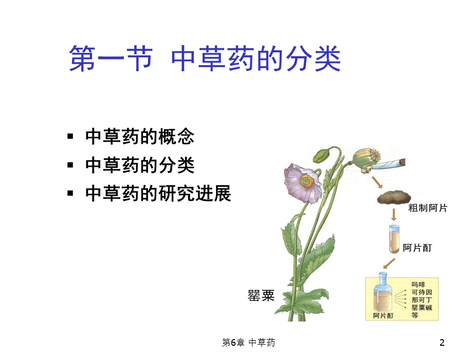 第07章中草药.ppt_第2页