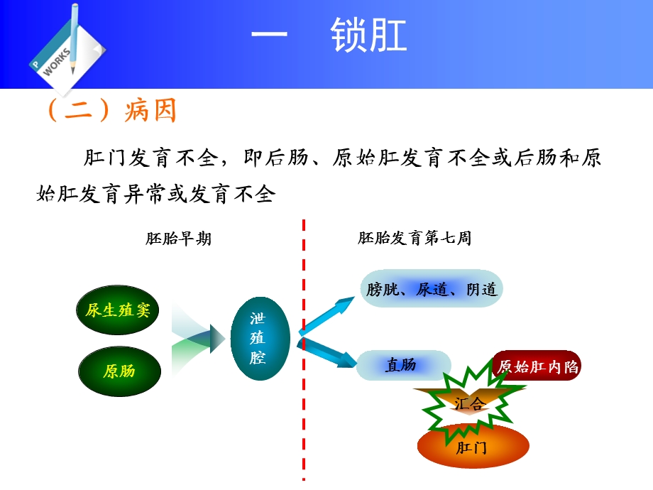 第10章直肠及肛门疾病.ppt_第3页