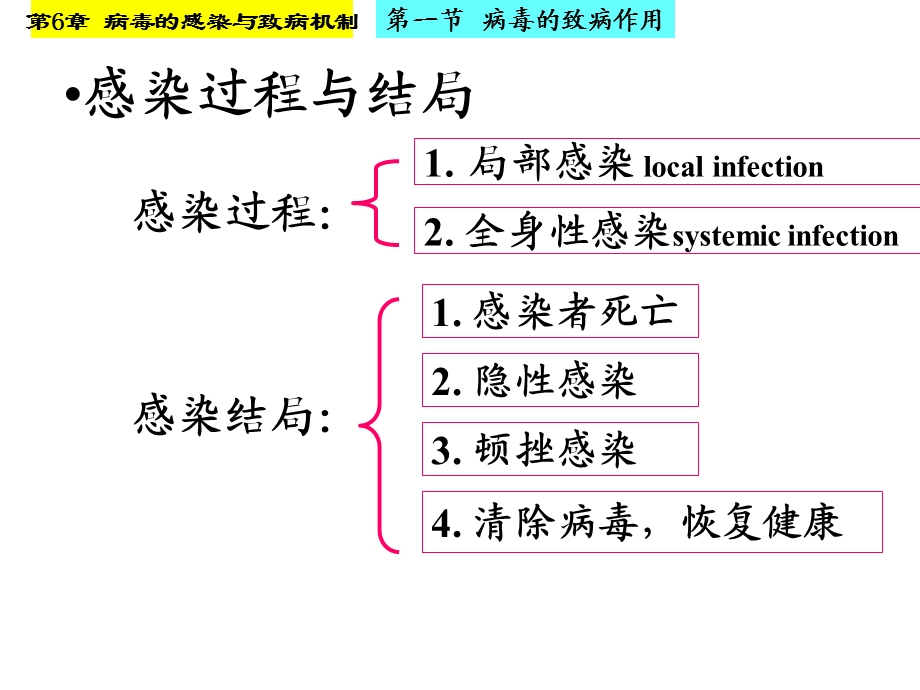 病毒的感染与致病机制名师编辑PPT课件.ppt_第3页