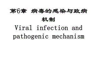 病毒的感染与致病机制名师编辑PPT课件.ppt