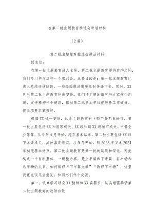 (2篇)在第二批主题教育推进会讲话材料.docx