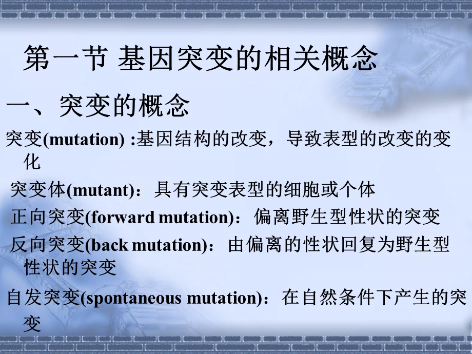 第13章基因突变与DNA损伤修复.ppt_第3页