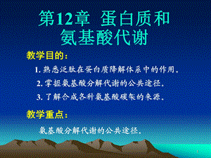 第12章蛋白质和氨基酸的代谢.ppt