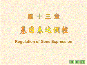 第13章基因表达调控08级.ppt