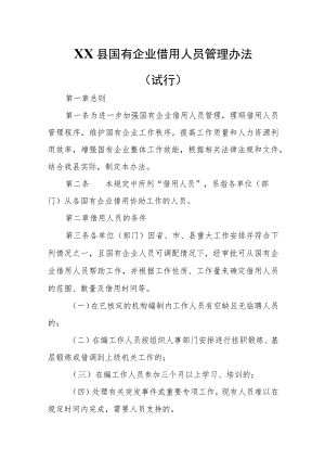 XX县国有企业借用人员管理办法.docx