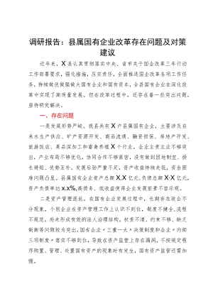 调研报告：县属国有企业改革存在问题及对策建议.docx