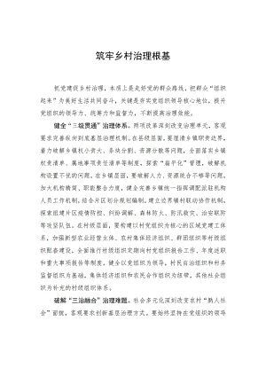 筑牢乡村治理根基.docx