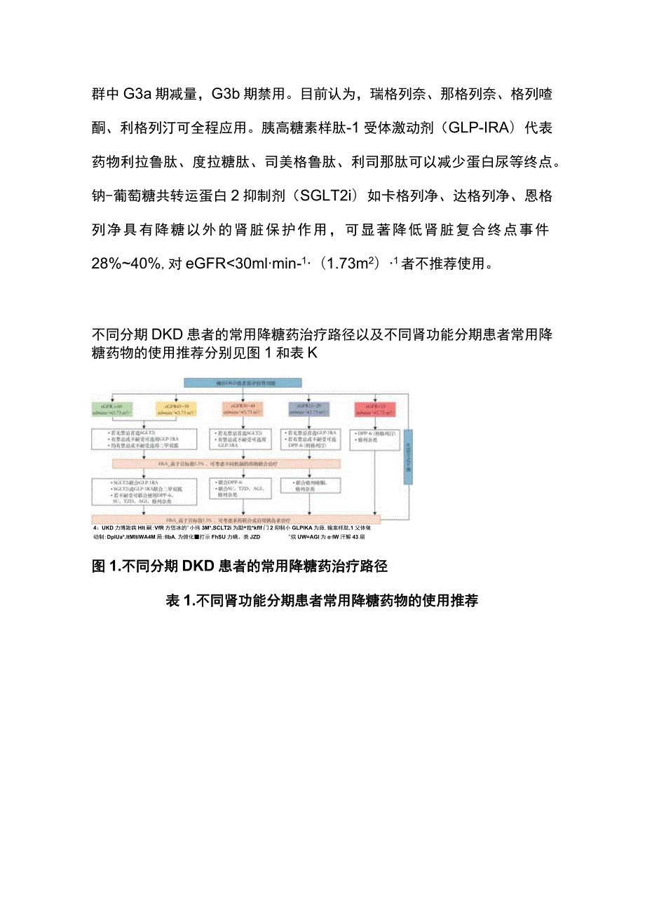 糖尿病肾脏病中西医结合防治专家共识2023版重点内容.docx_第3页