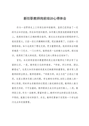 新任职教师岗前培训心得体会.docx