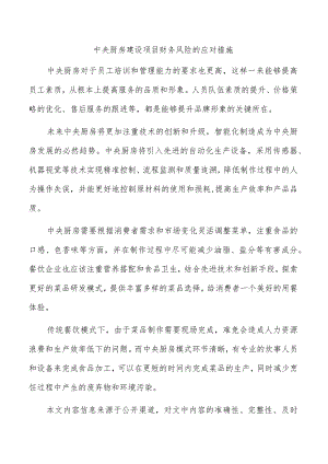 中央厨房建设项目财务风险的应对措施.docx