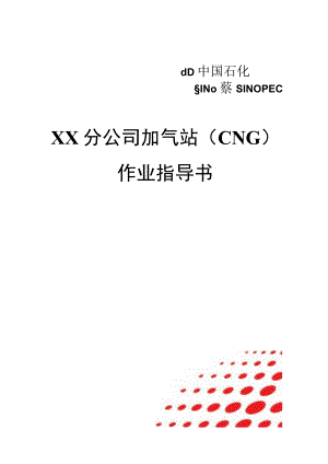 加气站（CNG）作业指导书.docx