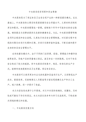 中央厨房投资预算和资金筹措.docx