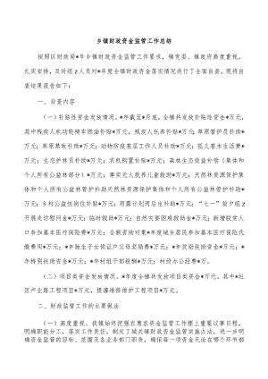 乡镇财政资金监管工作总结.docx