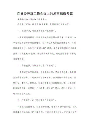 在县委经济工作会议上的发言精选多篇.docx