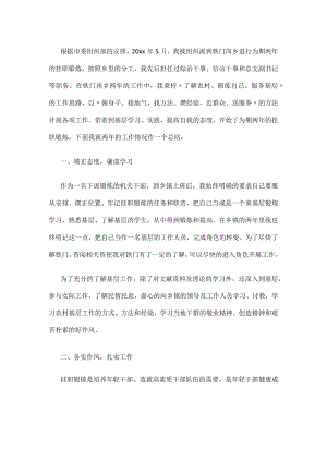 乡镇挂职锻炼工作总结挂职工作个人总结.docx