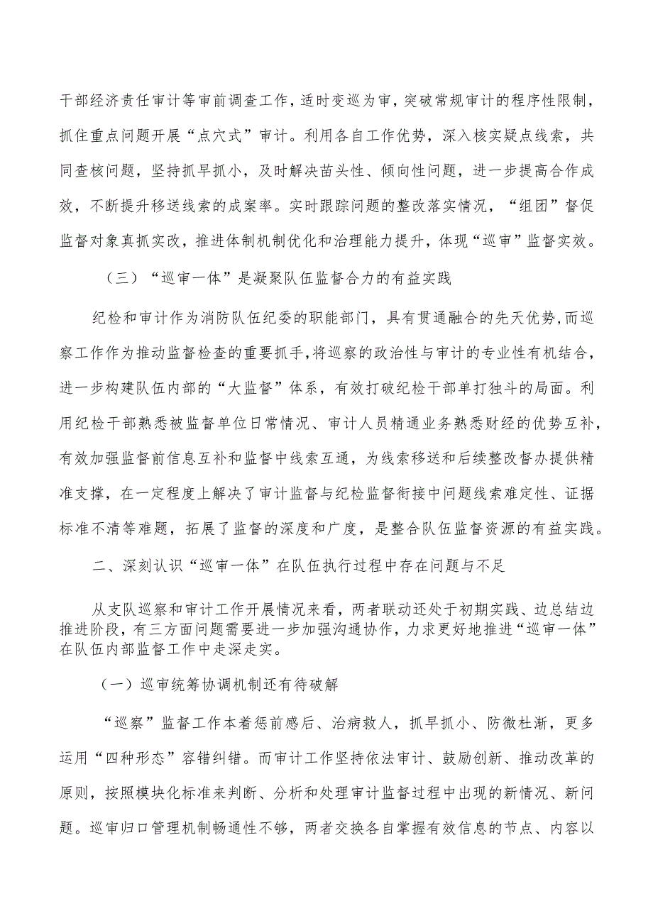 巡审一体督联动模式思考认识.docx_第2页