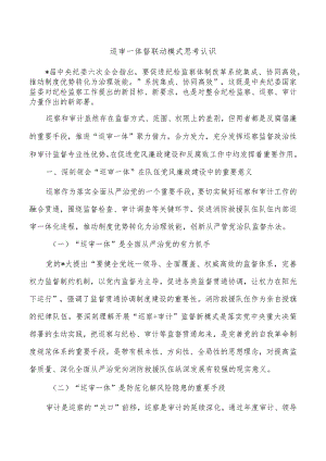 巡审一体督联动模式思考认识.docx