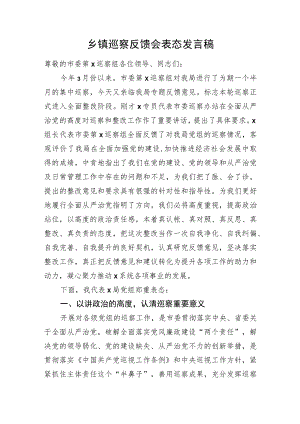 乡镇巡察反馈会表态发言.docx