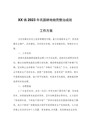 XX镇2023年巩固耕地抛荒整治成效工作方案.docx