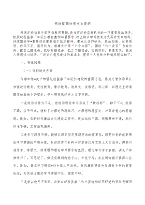 纪检整顿检视发言提纲.docx