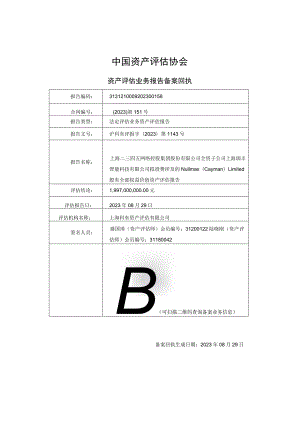 岩山科技：Nullmax（Cayman）Limited股东全部权益价值资产评估报告.docx