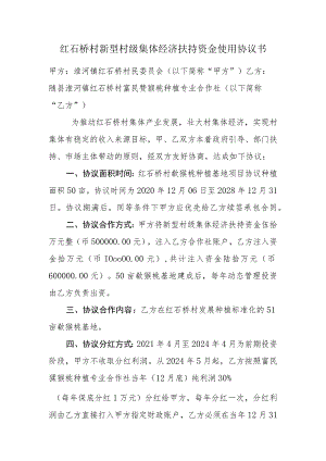 红石桥村新型村级集体经济扶持资金使用协议书.docx