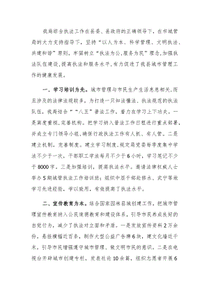 城管执法工作经验交流.docx