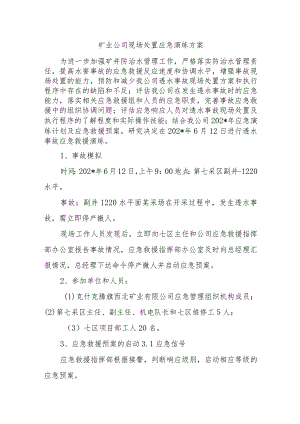 矿业公司现场处置应急演练方案.docx