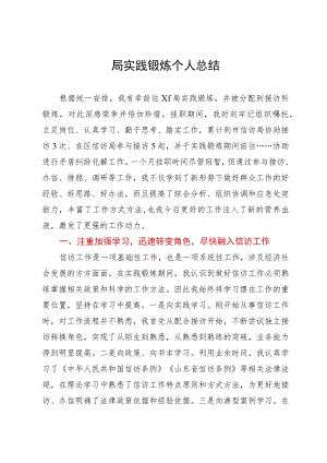 到信访局实践锻炼个人总结.docx