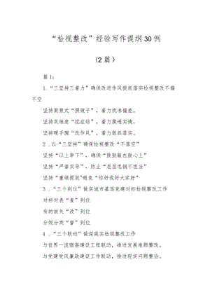 “检视整改”经验写作提纲30例（2篇）.docx