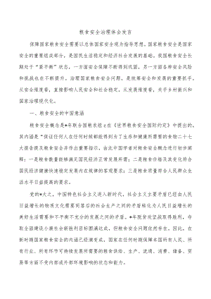 粮食安全治理体会发言.docx