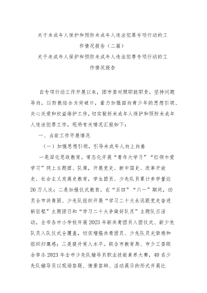 关于未成年人保护和预防未成年人违法犯罪专项行动的工作情况报告(二篇).docx