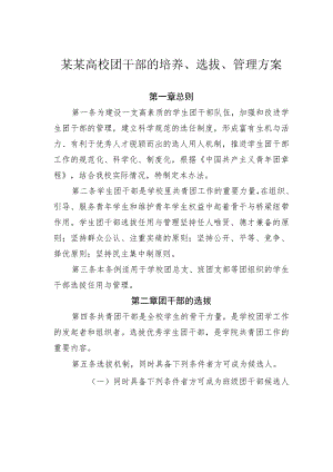 某某高校团干部的培养、选拔、管理方案.docx