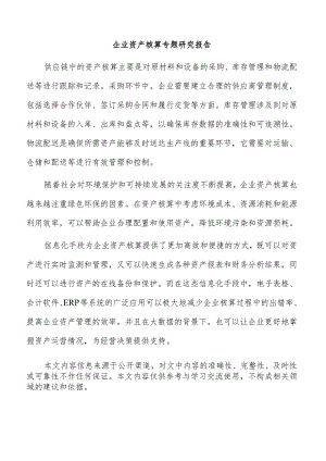 企业资产核算专题研究报告.docx