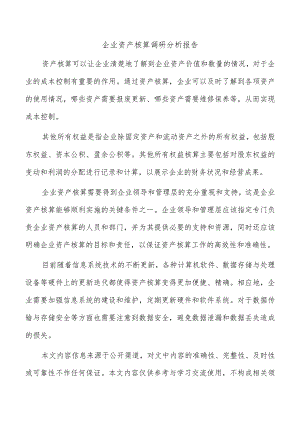 企业资产核算调研分析报告.docx