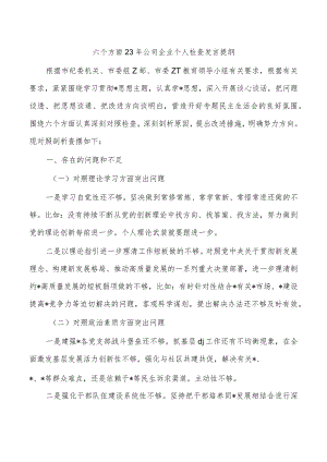 六个方面23年公司企业个人检查发言提纲.docx