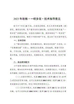 2023年秋粮“一喷多促”技术指导意见.docx