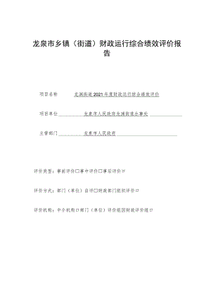 龙泉市乡镇街道财政运行综合绩效评价报告.docx