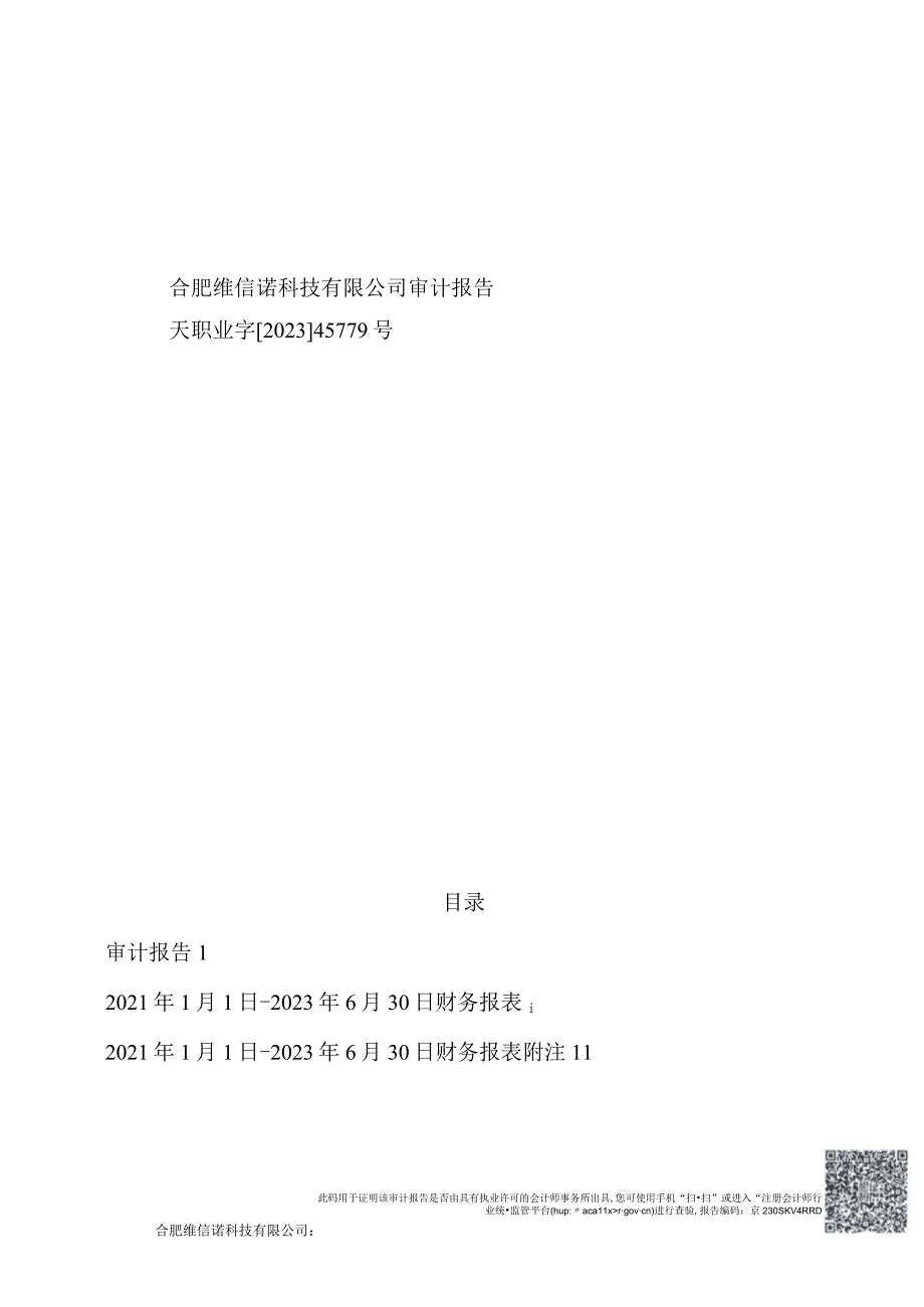 维信诺：合肥维信诺科技有限公司审计报告.docx_第1页