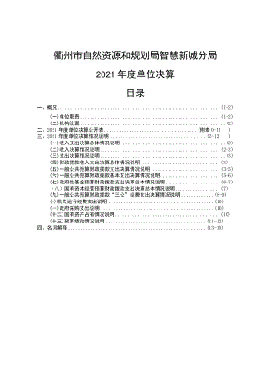 衢州市自然资源和规划局智慧新城分局2021年度单位决算目录.docx