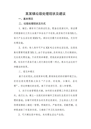 (新)某镇垃圾处理情况汇报材料.docx