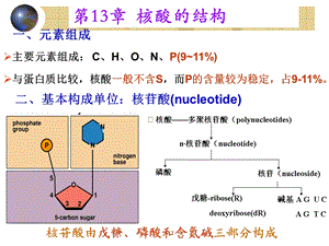 第13章核酸的结构.ppt