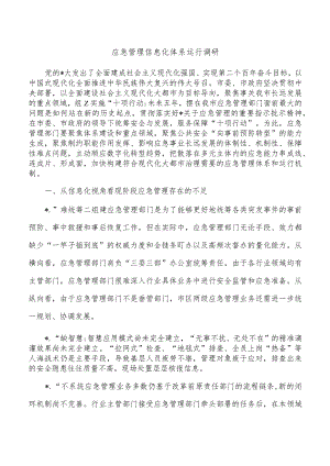 应急管理信息化体系运行调研.docx