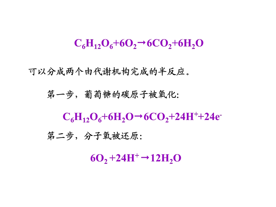 8电子传递与氧化磷酸化1.ppt_第2页