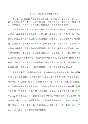 能上能下担当作为典型经验亮点.docx