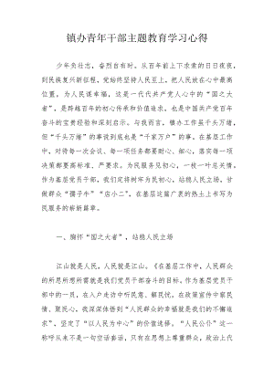 镇办青年干部主题教育学习心得.docx