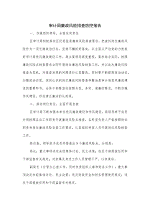 审计局廉政风险排查防控报告.docx