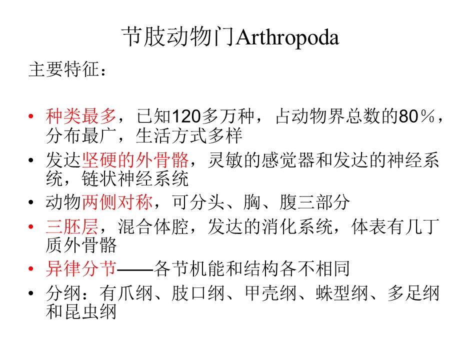 第17章动物的进化3”.ppt_第3页